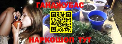 шишки Чебаркуль