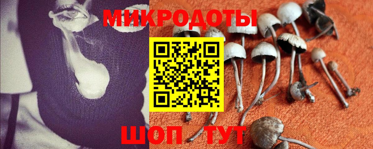 Донецк  Псилоцибиновые грибы MAGIC MUSHROOMS  Галлюциногенные грибы прущие грибы  закладка  Вход с VPN 